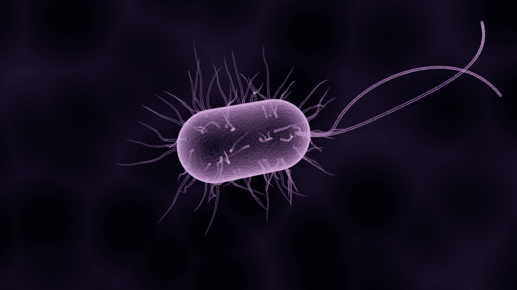 כמה חיידקים עלולים להצטבר במסנן תמי 4 ישן?