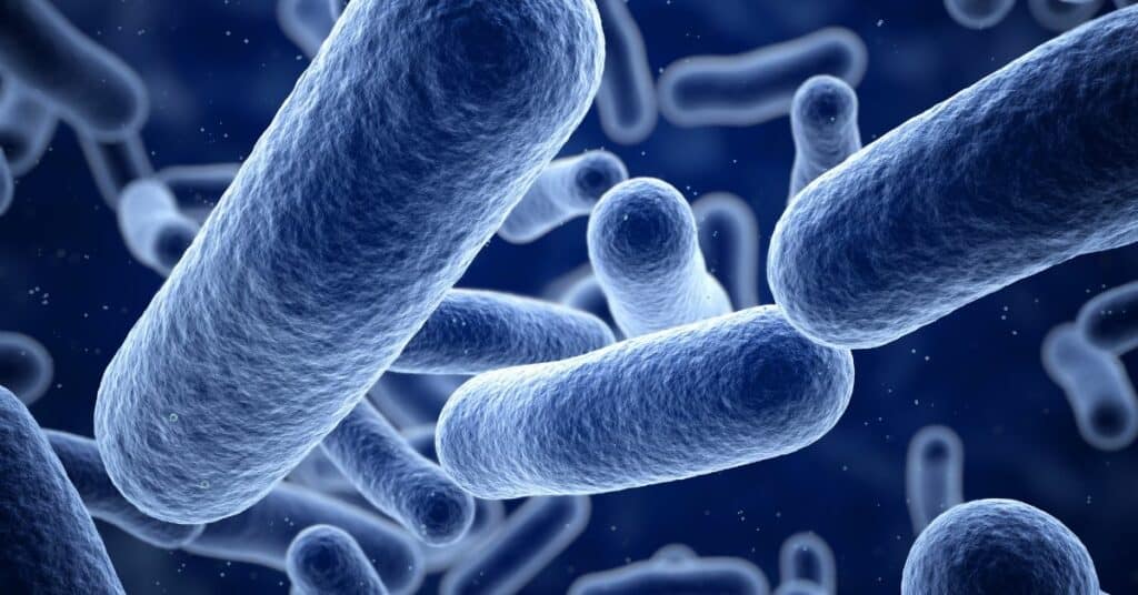 למה חיידקים עלולים להצטבר במסנן תמי4